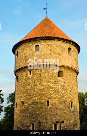 Tour dans les murs de la ville autour de la vieille ville (Vanalinn), Tallinn, Estonie Banque D'Images