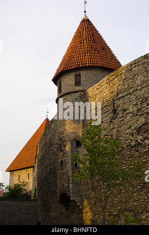 L'article sur les murs de la ville autour de la vieille ville (Vanalinn), Tallinn, Estonie Banque D'Images