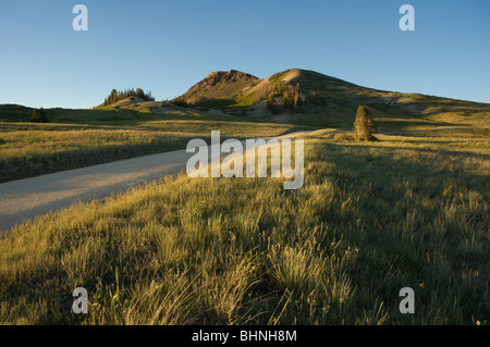 La route vers le sommet du pic de Brian Head, Utah, USA Banque D'Images