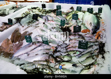 Affichage de poisson frais - sur la glace - en vente dans un supermarché français. Banque D'Images