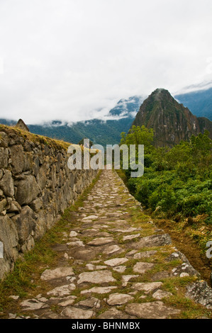 Visite au lever du soleil du Machu Picchu, Pérou Banque D'Images