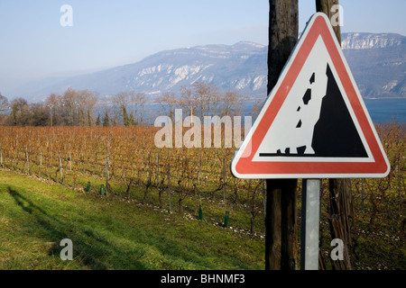 Un signe de mise en garde de chutes de pierres / Rock Falls, et un vignoble alpin français / vine yard. Les Alpes sont visibles à l'horizon. Banque D'Images