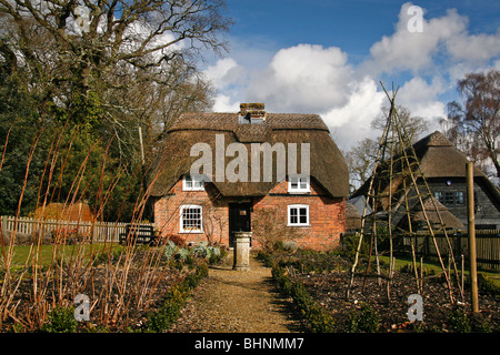 Une belle chaumière dans la New Forest Banque D'Images