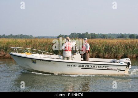 Le US Fish and Wildlife Service croisières équipe par Knapps Narrows sur Maryland Eastern Shore Banque D'Images