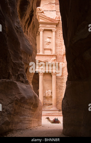 Un chameau se reposant devant le Conseil du Trésor. Vue à partir de la Siq, Petra, Jordanie, Asie. Banque D'Images