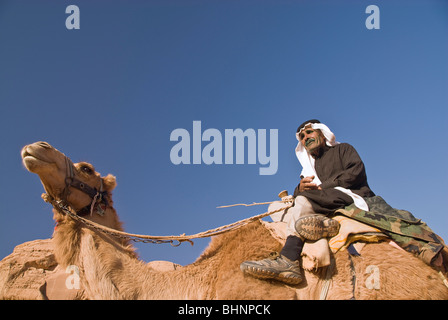 Sur un chameau bédouin Wadi Rum, Jordanie, Asie. Banque D'Images