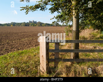 La recherche à travers la vallée de Belvoir vers le Château de Belvoir, Leicestershire Angleterre UK Banque D'Images