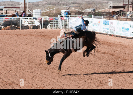 Un cowboy est en concurrence dans la Selle monte au cours de l'événement O'Odham Tash tous-Indian Rodeo Banque D'Images
