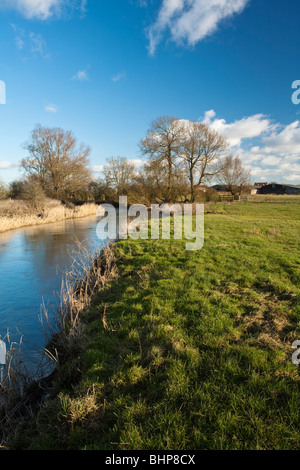 Cours supérieur de la rivière Thames près de Cricklade, Wiltshire, Royaume-Uni Banque D'Images