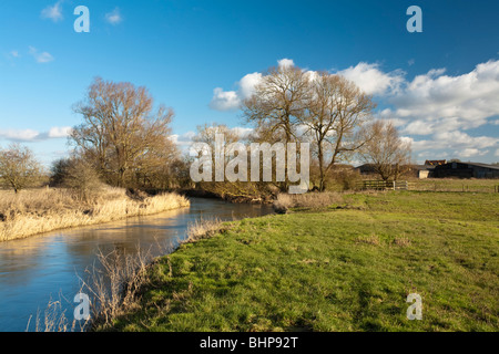 Cours supérieur de la rivière Thames près de Cricklade, Wiltshire, Royaume-Uni Banque D'Images