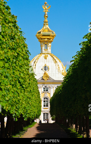 Détail, le Bolchoï Dvorets (Grand Palais), Peterhof (Petrodvorets), Saint-Pétersbourg, Russie Banque D'Images