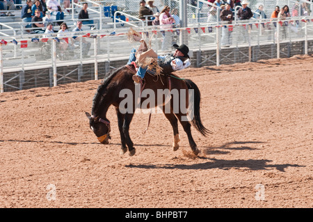 Un cowboy est en concurrence dans la Selle monte au cours de l'événement O'Odham Tash tous-Indian Rodeo Banque D'Images