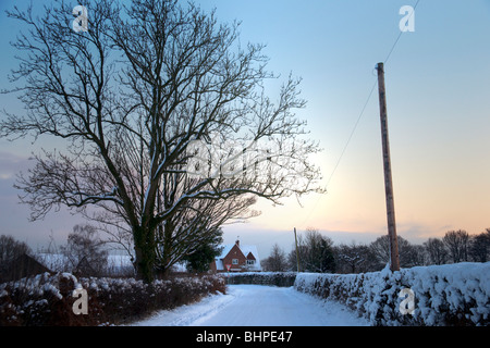 Soirée d'hiver dans un chemin de campagne, entre 2 lacs, Buckinghamshire Chilterns, uk, Banque D'Images