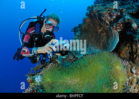 Scuba Diver prend des photos sous l'eau, sous-marin-photographe, Parc National de Bali Barat, île de Menjangan, Bali Banque D'Images