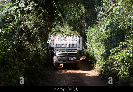 Les touristes et guide touristique sur la grande aventure 4x4 le long du sentier yacaratia dans parc national de l'Iguazu argentine Banque D'Images