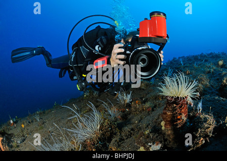 Scuba Diver prend des photos sous l'eau, sous-marin-photographe, Bali, Indonésie, l'océan Indo-pacifique Banque D'Images