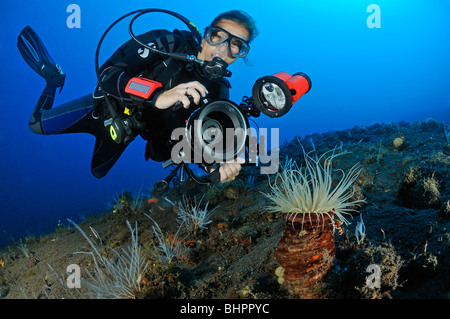 Scuba Diver prend des photos sous l'eau, sous-marin-photographe, Bali, Indonésie, l'océan Indo-pacifique Banque D'Images