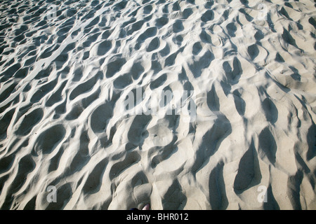 Des empreintes de pas dans le sable, l'île de Texel, Hollande Banque D'Images