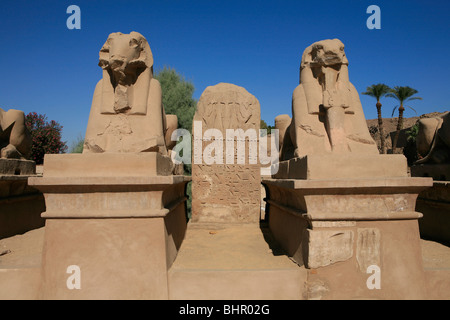 Deux sphinx à tête de bélier à l'entrée principale du temple de Karnak à Louxor, Egypte Banque D'Images