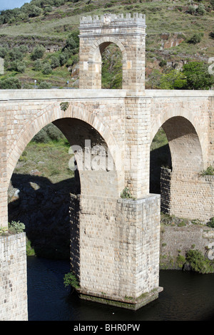 Crag Martin, (Hirundo rupestris), colonie de nidification en vertu de l'arc de pont, Alcantara, Estrémadure, Espagne Banque D'Images