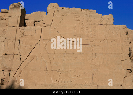 L'image de secours de Ramsès le Grand (Ramsès II), de la Libye, de la Nubie, agrippant et prisonniers syriens par leurs cheveux au Temple de Karnak à Louxor, Egypte Banque D'Images