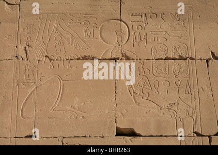 L'allégement d'un mur, ram divers hiéroglyphes et cartouches au Temple de Karnak sur la rive est de Louxor, Egypte Banque D'Images