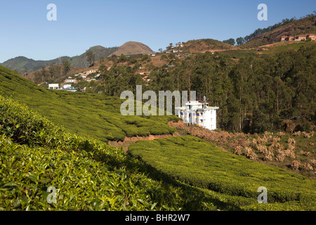 L'Inde, le Kerala, Munnar, plantation de thé dans les collines environnantes Banque D'Images