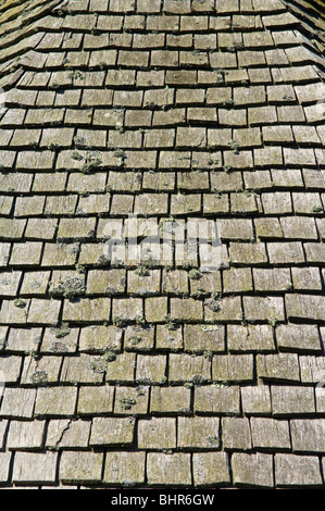 Close up of pine des bardeaux sur un toit couvert de mousse et de bardeaux brisés notamment fissuré carreaux Banque D'Images