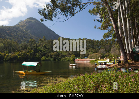 L'Inde, le Kerala, Munnar, Kundala Lake shikara, style Cachemire l'aviron bateaux à louer Banque D'Images