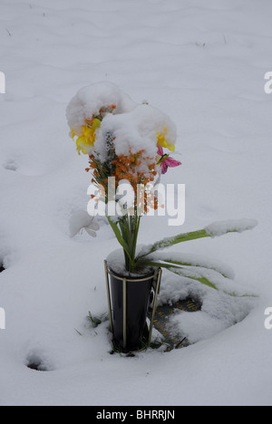 Des fleurs dans le jardin du souvenir St Leonards Church recouvert de neige, Heston West London, UK Banque D'Images