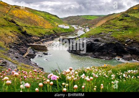 Vue vers le village de Boscastle à Cornwall, en Angleterre, depuis les falaises au-dessus du port Banque D'Images