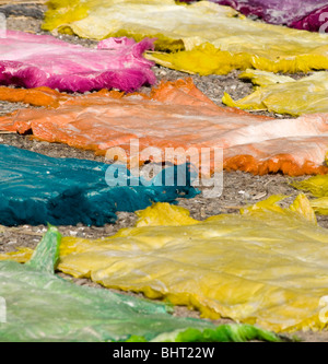 Teints de couleur multi-aviateur de séchage à la tannerie à El Jadida, Maroc Banque D'Images