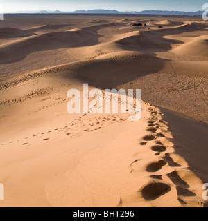 Soir lumière tombe sur les dunes de Tinfou dans la rivière la vallée du Draa, au sud de Tamegroute, Maroc Banque D'Images
