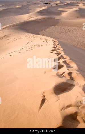 Des empreintes de pas dans les dunes de Tinfou dans la rivière la vallée du Draa, au sud de Tamegroute, Maroc Banque D'Images