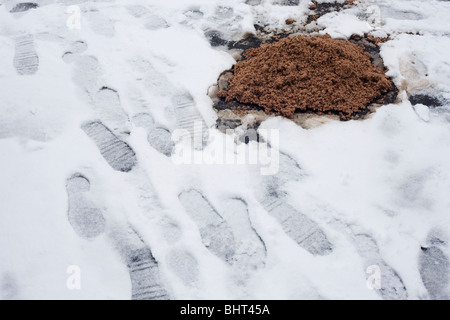 L'une pelle pleine de grain de la route a été laissé dans un petit tas en bordure d'une route secondaire au 76200, le sud de Londres. Banque D'Images