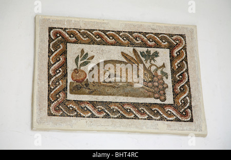 Un lapin mange du raisin sur un mur mosaïque romaine au Musée d'archéologie, El Jem, Tunisie, Afrique du Nord Banque D'Images