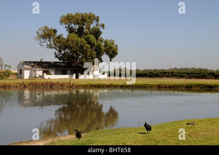 Logement des travailleurs dans le paysage rural de la Vergenoegd Wine Estate Stellenbosch Afrique du Sud Banque D'Images