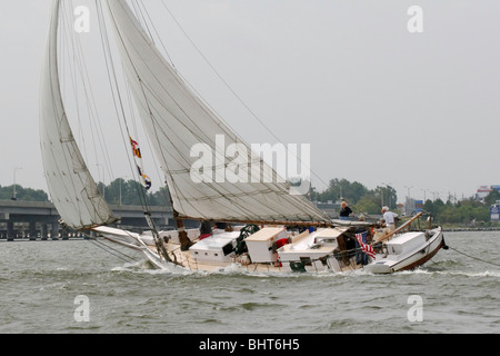 Le listao MARTHA LEWIS dur sur le vent dans les courses de listao annuel Banque D'Images