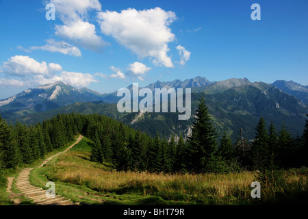 Vue de la route d'un Goose neck in Polish Tatra Banque D'Images