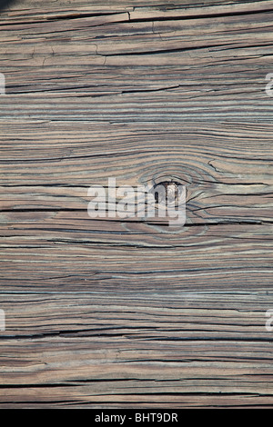 Fond de bois Banque D'Images