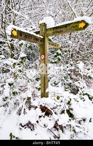 North Downs Way panneau recouvert de neige, près de Dorking, Surrey, UK Banque D'Images