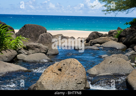 Côte de Na Pali, Kauai, Hawaii, Hanakapi'ai Plage, Kalalau Trail Banque D'Images