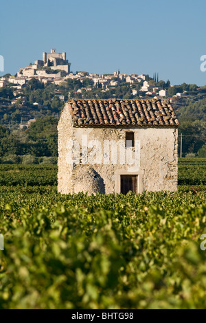 Vignobles et cabanon, Comtat Venaissan, Caromb, Vaucluse, Provence, France Banque D'Images