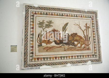 Mosaïque romaine sur le mur de deux lions de manger un sanglier au Musée Archéologique d'El Jem, Tunisie, Afrique du Nord Banque D'Images