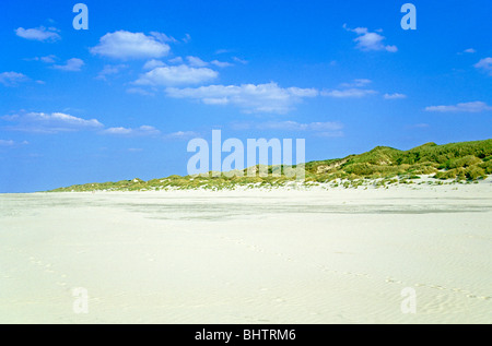 Plage et dunes de sable sur l'île de Juist, en Frise orientale, Basse-Saxe, Allemagne Banque D'Images