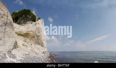 La partie centrale de la falaise de Møn est un monument impressionnant. Situé à la côte est du Danemark vers la mer Baltique Banque D'Images