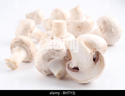 Poignée de champignons sur fond blanc Banque D'Images