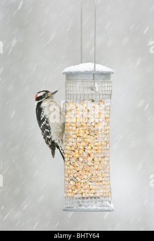 Pic mineur perché sur convoyeur en chute de neige - verticale Banque D'Images