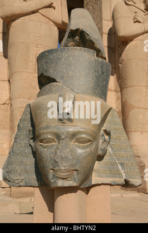 Tête de granit du pharaon égyptien Ramsès le Grand à la Ramesseum à la nécropole thébaine, près de Louxor, Egypte Banque D'Images