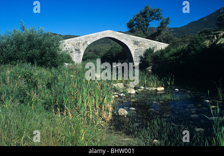 Pont à bosse ou pont génoise (c dév), Spin'a Cavalu ou Cavaddu, sur le ruisseau ou la rivière Rizzanèse, près de Sartène, Corse, France Banque D'Images